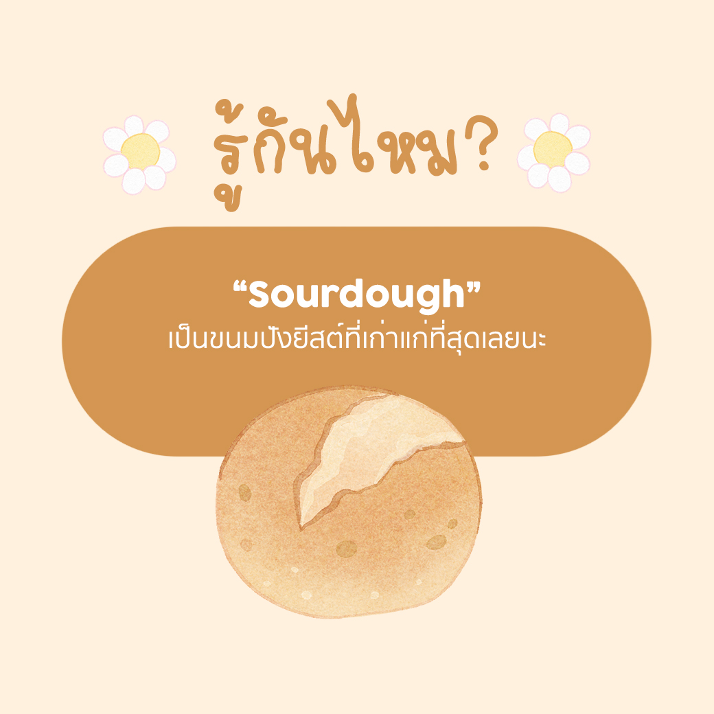 sourdough ขนมปังยีสต์ที่เก่าแก่ที่สุด
