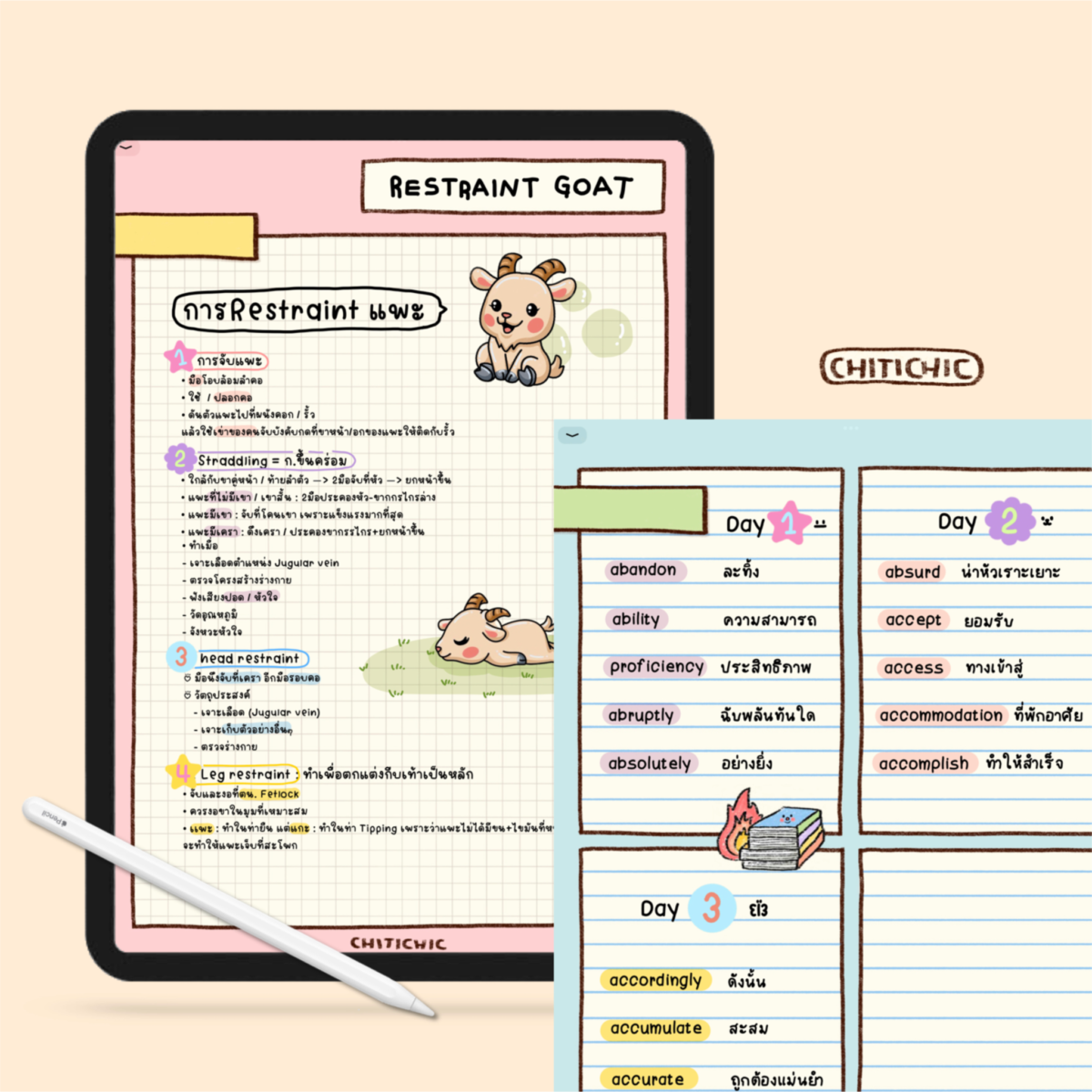 สมุดโน๊ต กระดาษโน๊ต png memopad memo pad digital notebook template goodnote - CHITICHIC digital notebook (vol.3) ตัวอย่างการใช้งาน