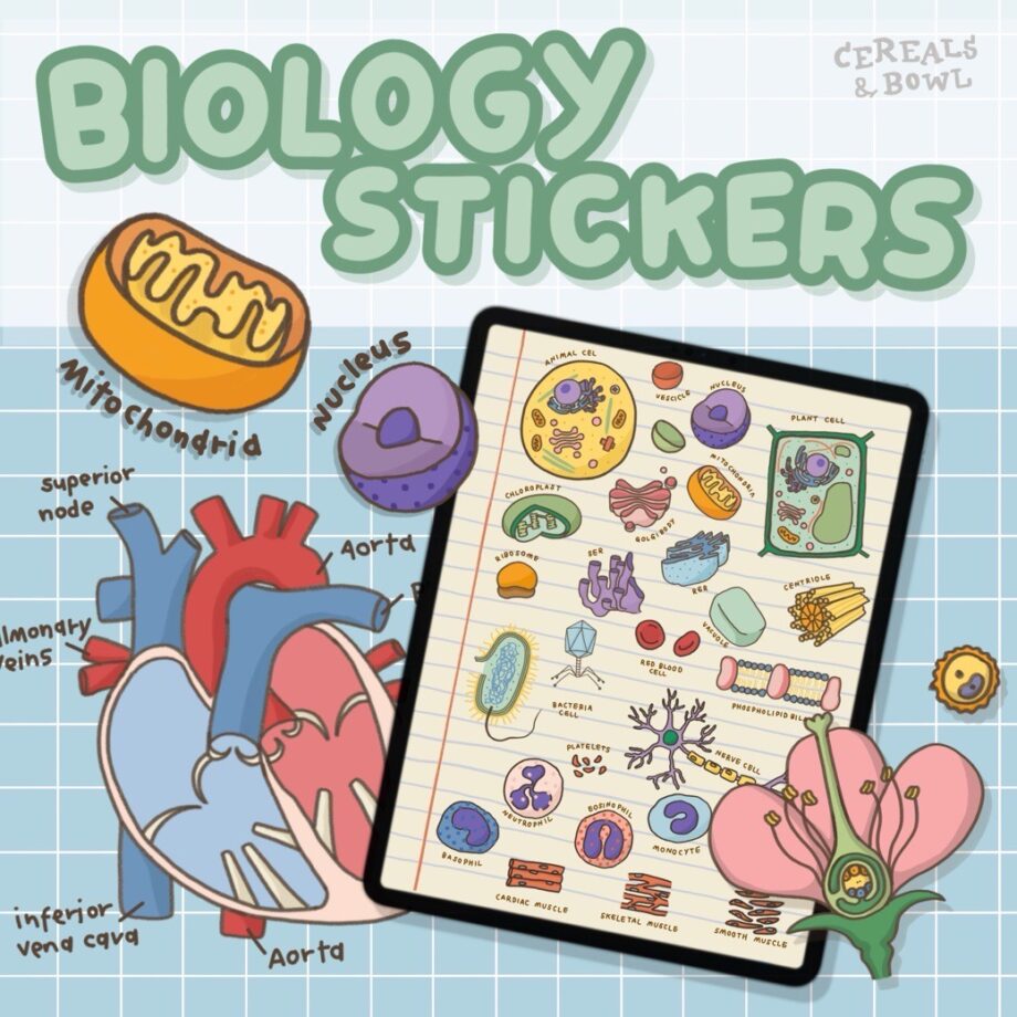 CEREALS & BOWL | DIGITAL STICKER ( Biology Stickers) | Fahfahsworld
